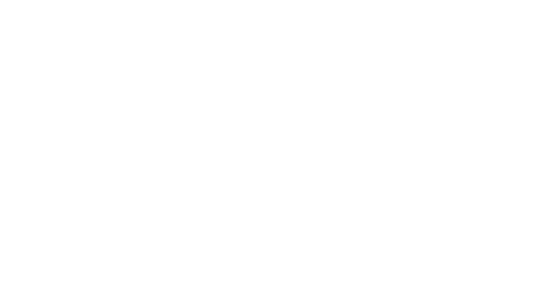 Dolce and Gabbana logo