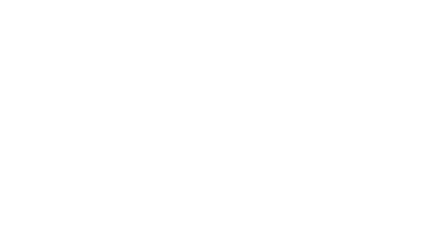 The Mint SFO logo
